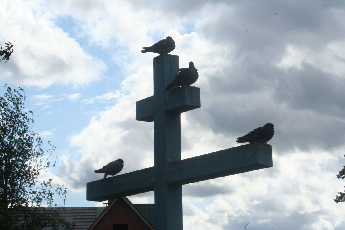 Золотых куполов тут нет, поэтому крест и голуби