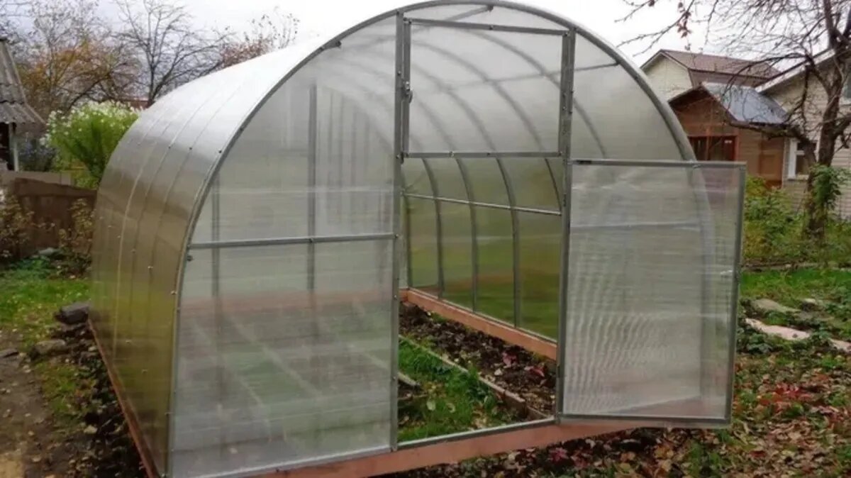 Тепличная почва населена большим количеством грибков и инфекций. Фото: Pixabay