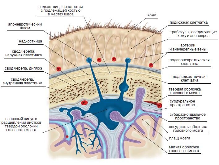 Фото взято из свободного доступа yandex.ru