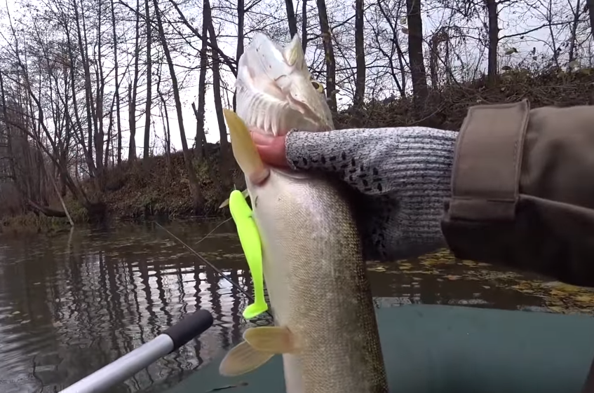 Сильных повреждений нет, так что отпущу её.