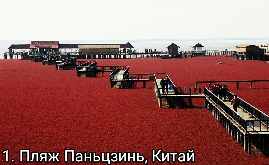 
1. Красный пляж Паньцзинь, Китай. На реке Ляохе расположен пляж, покрытый красными водорослями. Из них, кстати, делается всеми известный заменитель желатина - агар-агар. Паньцзинь частенько посещают профессиональные фотографы и туристы ради великолепных снимков. Только делать это нужно осенью, ведь в другое время года водоросли имеют самый обычный зелёный цвет.
