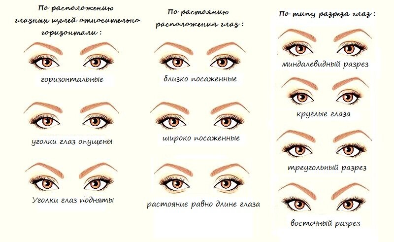                                                 Формы на примере женских глаз