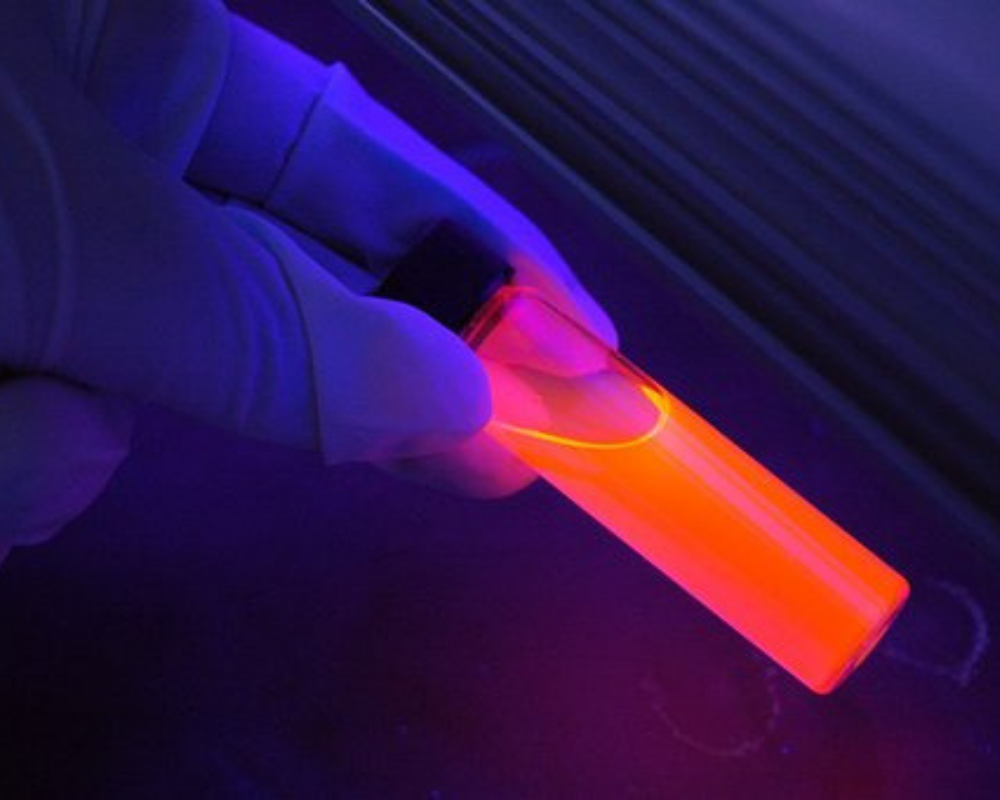 фото от pixabay.com