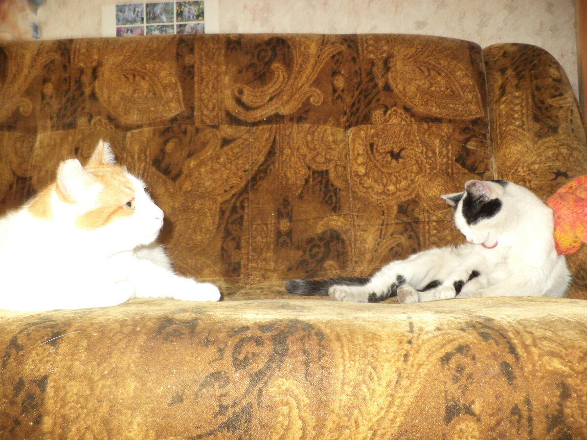 Я не Алик!  Я Светлый Ангел с Ликом Алика. Я оцениваю чистоту работы!