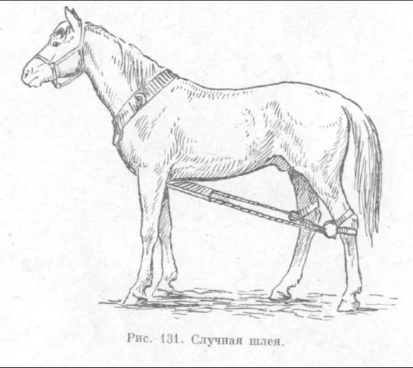 Источник фото сервис Яндекс.Картинки