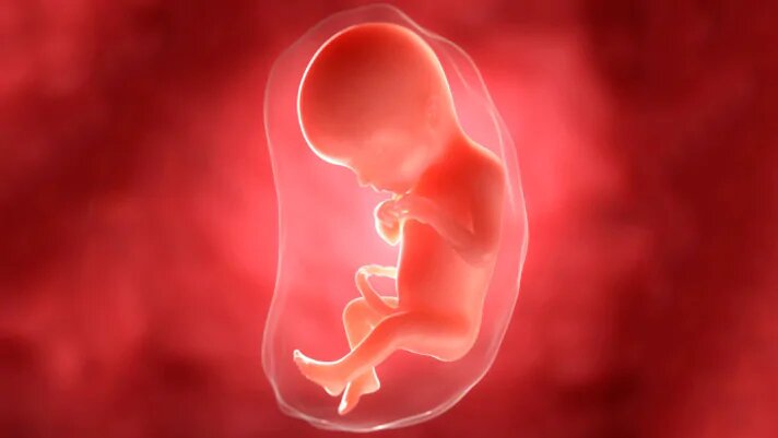 Источник изображения: https://www.elevit.ru