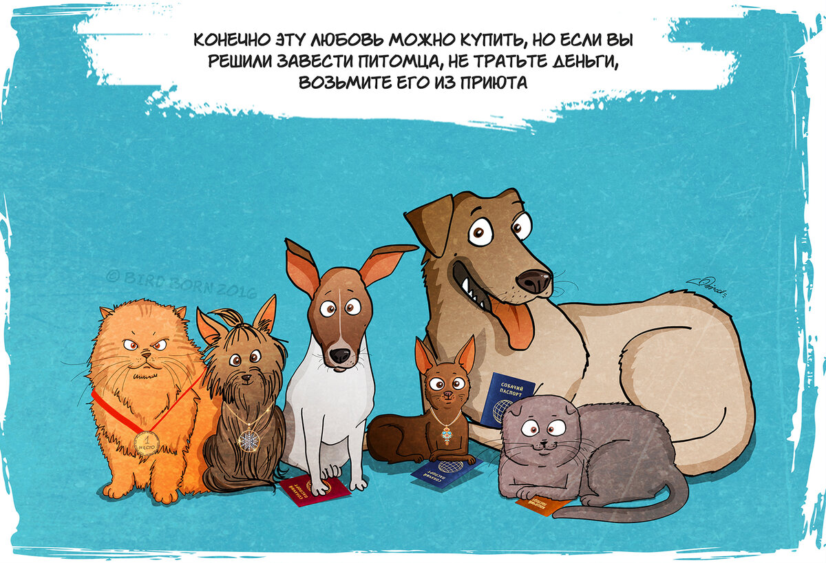 Картинки возьми собаку из приюта