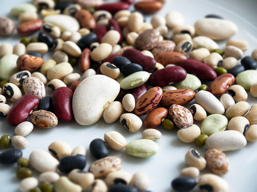 Бобовое растение относится к одному из крупнейших семейств цветковых растений. Боб относится с семени бобового растения. Термин "боб" обычно используется в качестве общего названия для обыкновенных бобов, конских или широких бобов, соевых бобов, нута, чечевицы и семян различных других растений в семействе бобовых или семействе бобовых цветковых растений.