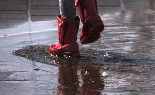  Фото: pixabay.com