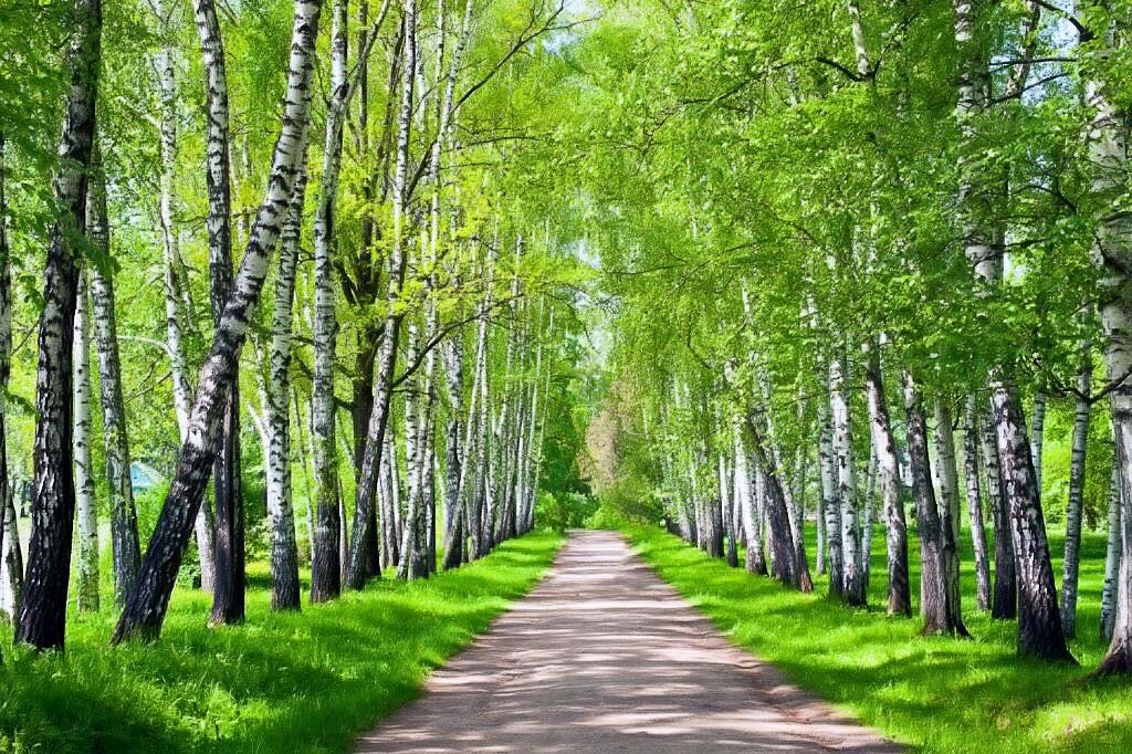 Ослепительная красота природы...