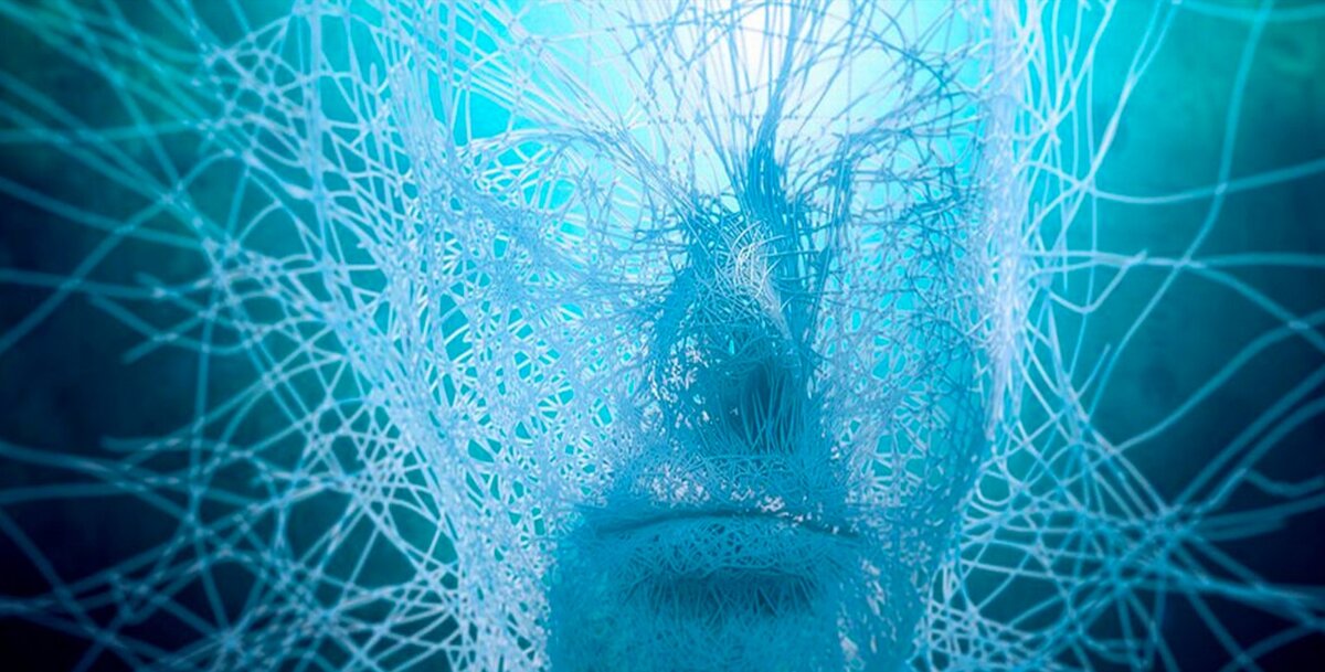 Итак, что же такое ИНС? Вспомните уроки биологии - каждое существо в нашем мире имеет нервную систему, а более продвинутые жители Земли еще и мозг. Так вот, биологические нейронные сети и есть наши с вами мозги . Органы чувств передают информацию о раздражителе нейронным сетям, а те в свою очередь обрабатывают ее, благодаря чему мы чувствуем тепло и холод, ветер, влагу, можем распознать людей, вещи, запомнить информацию и так до бесконечности. 
Для начала - принцип работы ИНС в точности повторяет алгоритм работы биологических нейронных сетей. Чаще всего ответ на вопрос, почему нейросети работают, звучит так: каждый нейрон из сети умеет обрабатывать сигнал, а поскольку их миллиарды, то входящая информация на входе преобразуется в правильный сигнал на выходе. Важно учитывать то, что алгоритм работы каждого нейрона одинаков, поэтому возникает вопрос: если все нейроны работают по одинаковому примеру, то почему нейросети могут выдавать разные ответы, а не один и тот же постоянно? Дело в том, что помимо самих нейронов существуют еще и синапсы. Синапс - это место соединения выхода одного нейрона и входа другого, при этом сигнал при прохождении через синапс либо усиливается, либо ослабляется. 
Каждый синапс индивидуален, он либо усиливает, либо ослабляет сигнал нейрона, проходящий через него. В течение жизни синапсы меняются, а значит и изменяются проходящие через них сигналы. Именно совместная работа нейрона и синапса преобразуют входящие сигналы в верные решения на выходе.