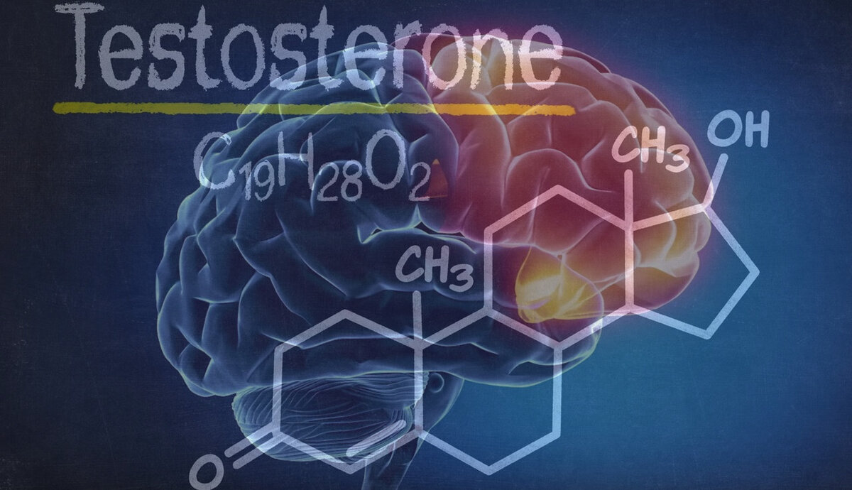 Тестостерон в картинках