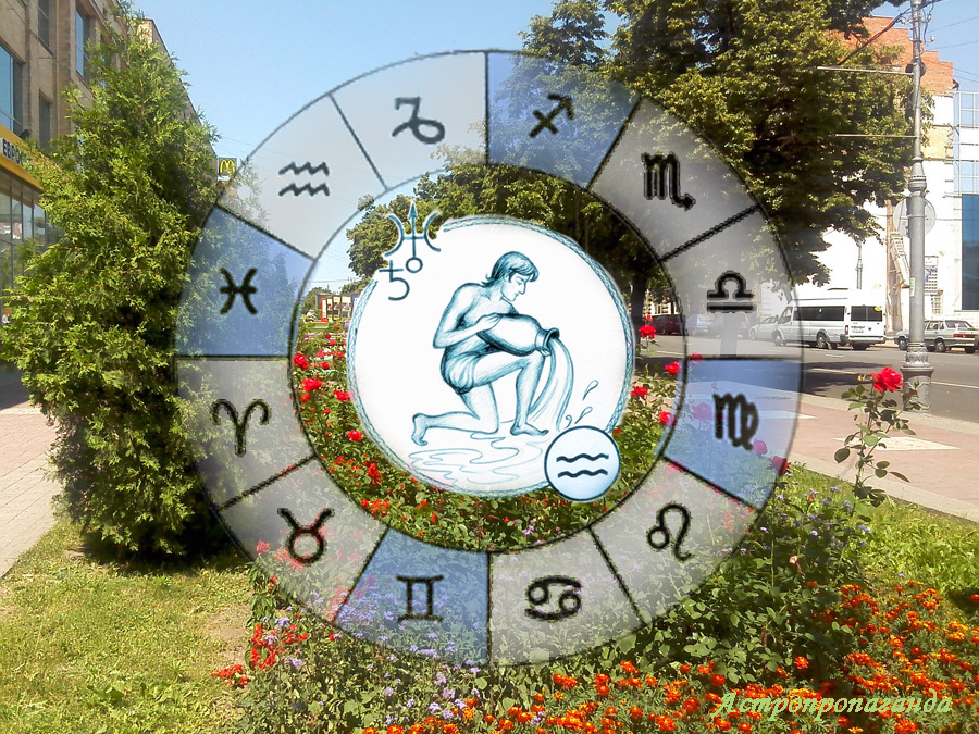 Коллаж Нины Стрелковой.