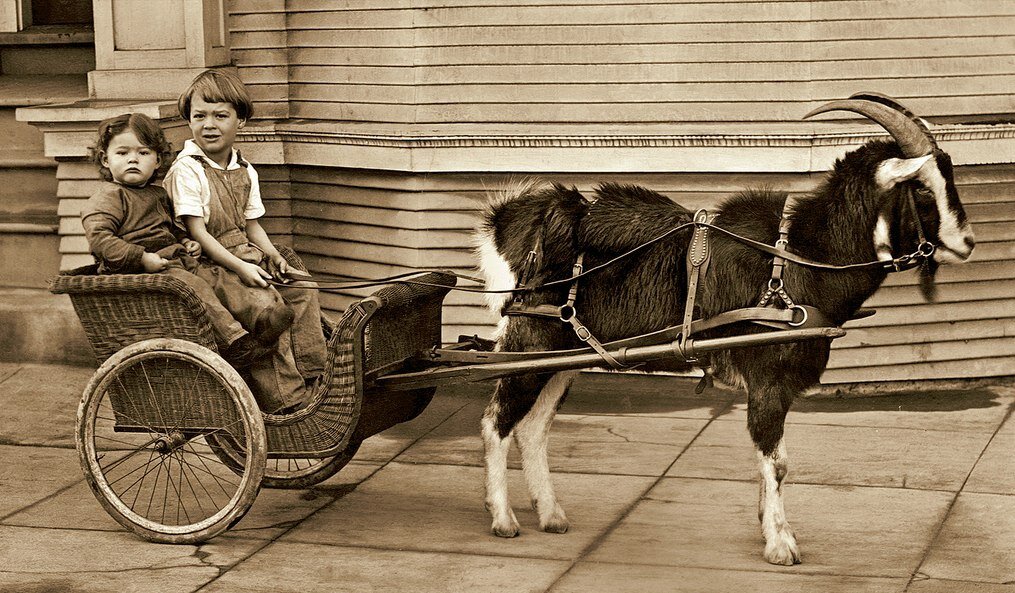Типичная детская коляска-повозка середины 19 века