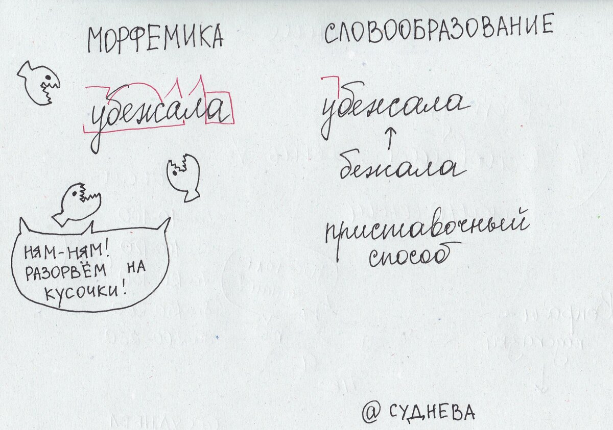 5 класс. Занятие 1 из 10. Готовимся к новому учебному году | Суднева: уроки  русского языка | Дзен