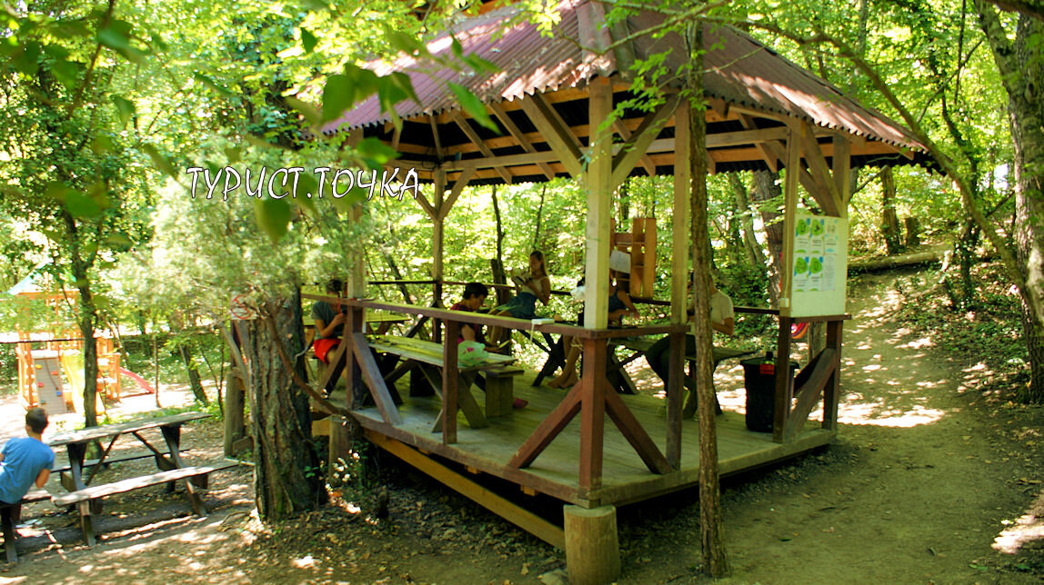 турбаза енот архипо-осиповка. кемпинг енот архипо-осиповка. турбаза енот лермонтово. геленджик енот кемпинг. енот кемпинг архипо.