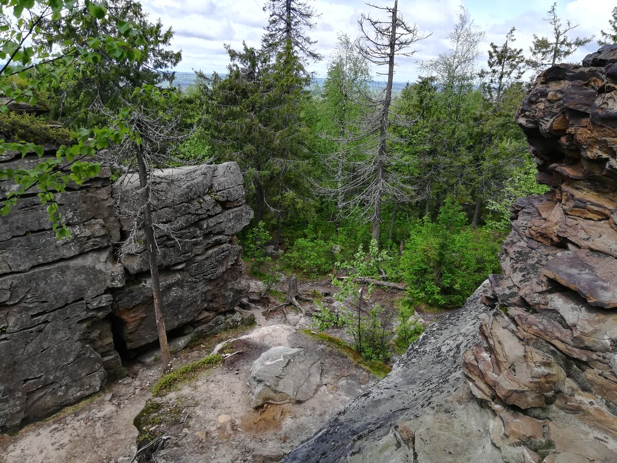 Блоги края. Каменные останцы Пермь. Пермь скальные останцы каменного острова. Каменный город ВСС. Каменный город с собакой.