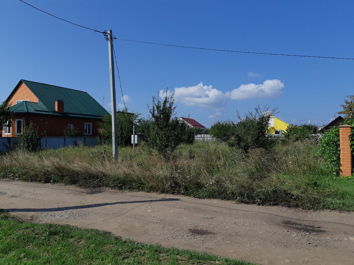 Вот так выглядели эти 10 соток до покоса. Трава была по пояс и выше...
