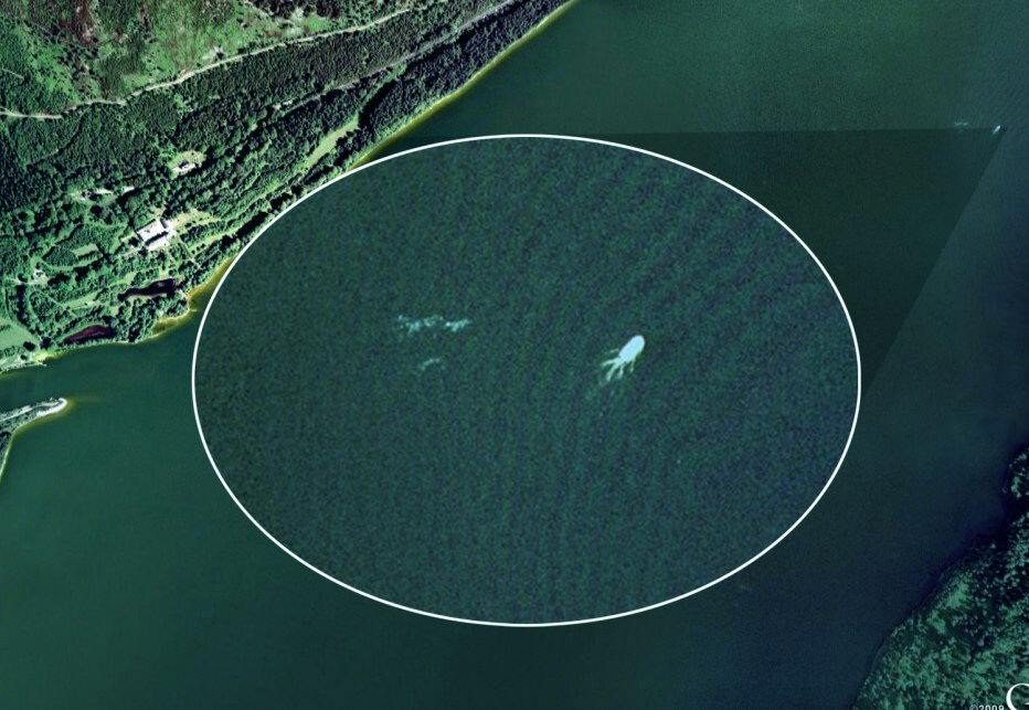 Какие объекты можно увидеть. Лох-Несс озеро со спутника. Сняли Лохнесское чудовище со спутника 2022. Лохнесское чудовище на гугл картах. Лохнесское чудовище CJ cgenybrf.