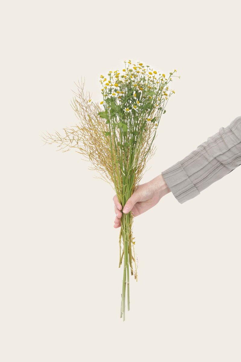 photo - unsplash