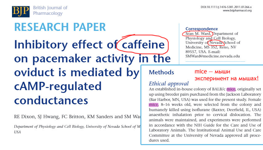 Исследование Шона Уорда в "Британском журнале фармакологии" о действии кофеина на движение яйцеклеток самок мышей