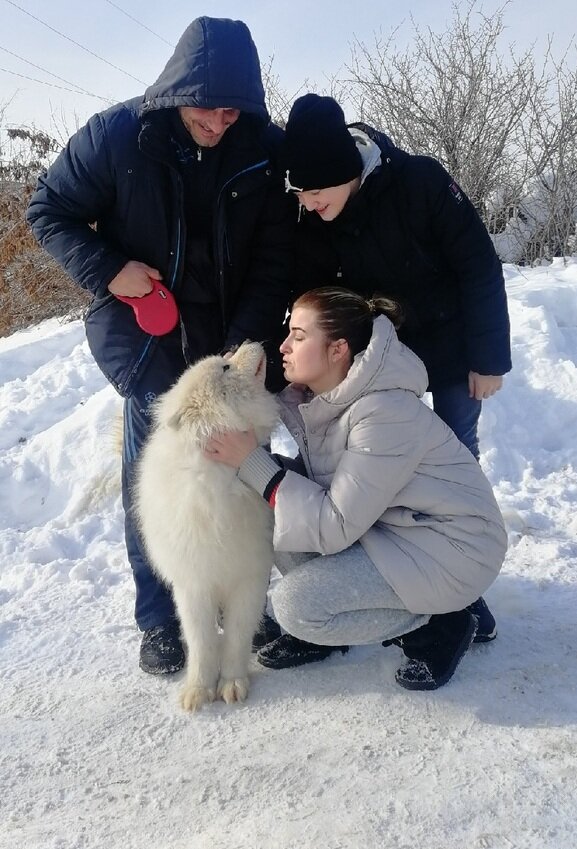 Фото: vk.com_wall-40561526_370135. Собаку нашли при помощи неравнодушных людей. Но не без помощи Интернета. 