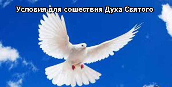 Символ Духа Святого в виде голубя, сходящего на землю