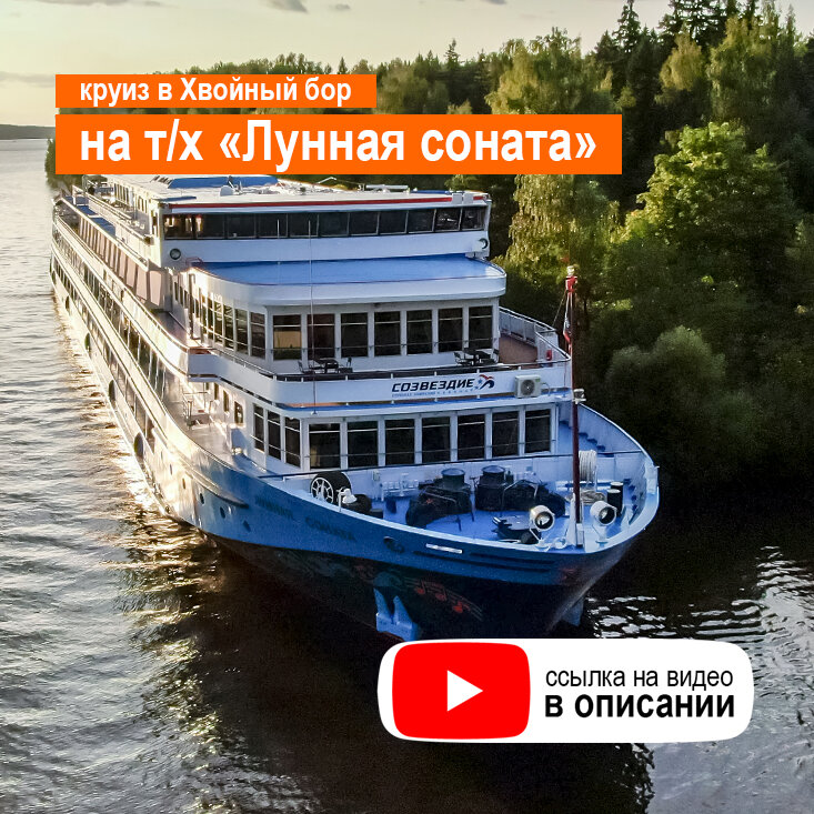 Хвойный бор на теплоходе фото