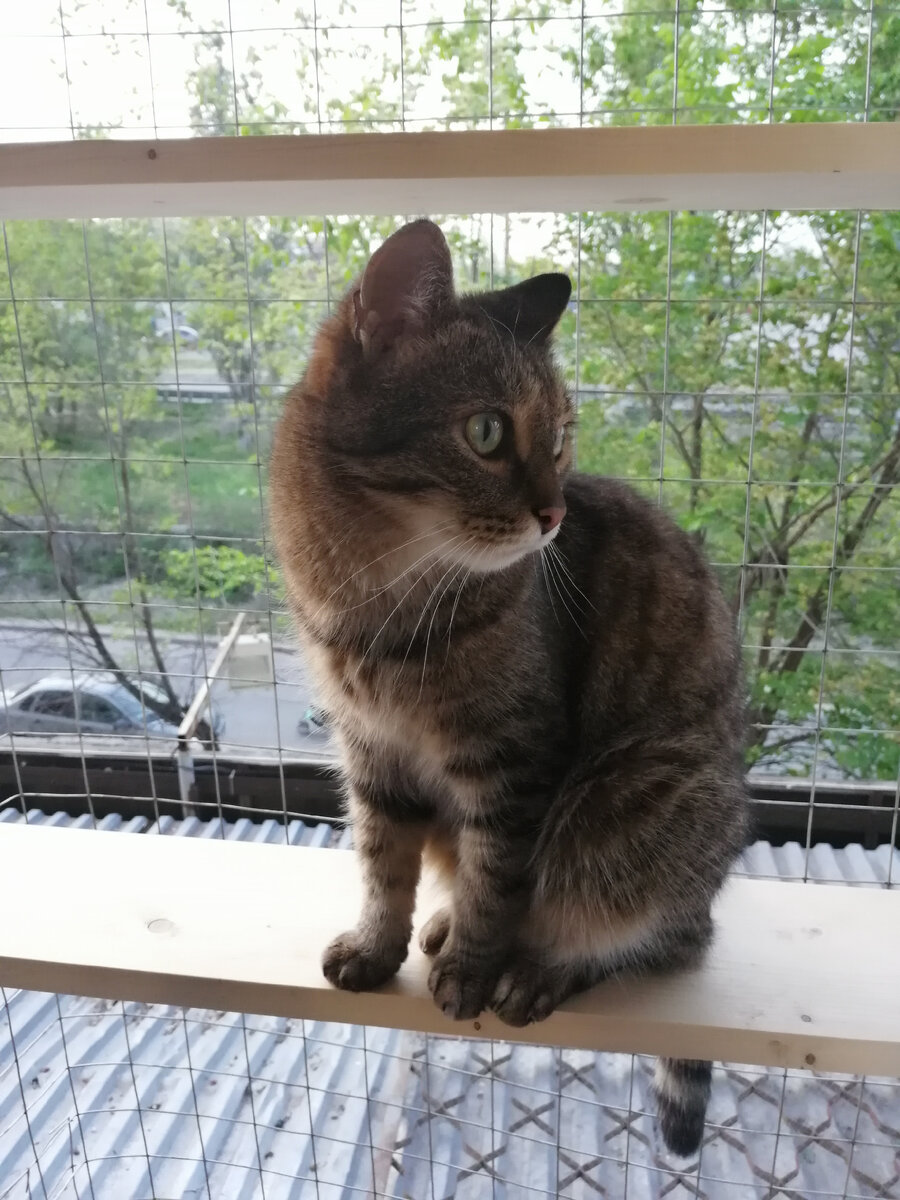 Виновник торжества