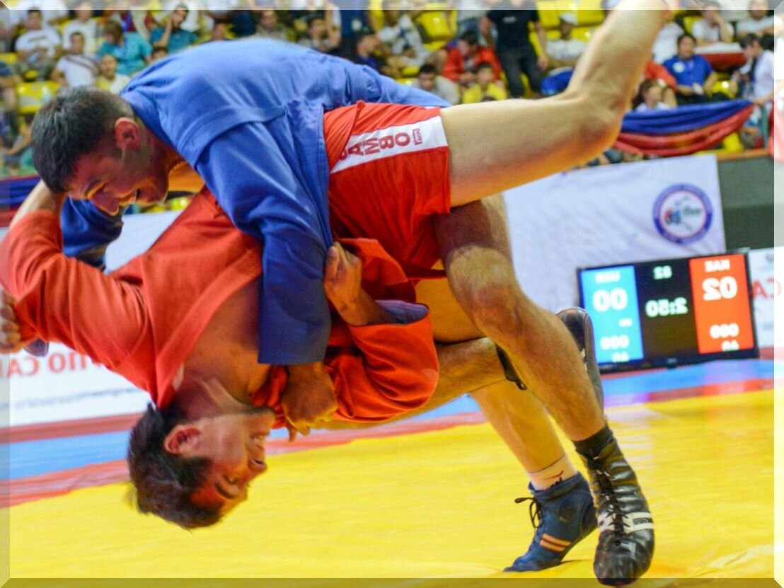 кто такие самбо