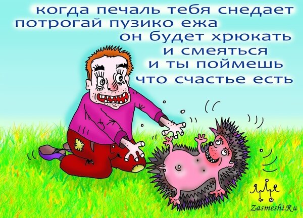 Источник картинки: https://zasmeshi.ru/caricature/category/1045/hedgehogs.html