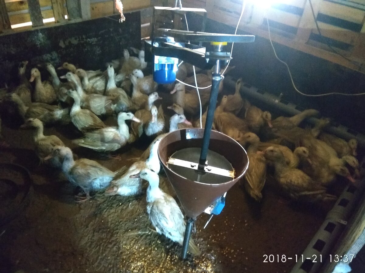 Воронка для гаважа ВШУ-1.