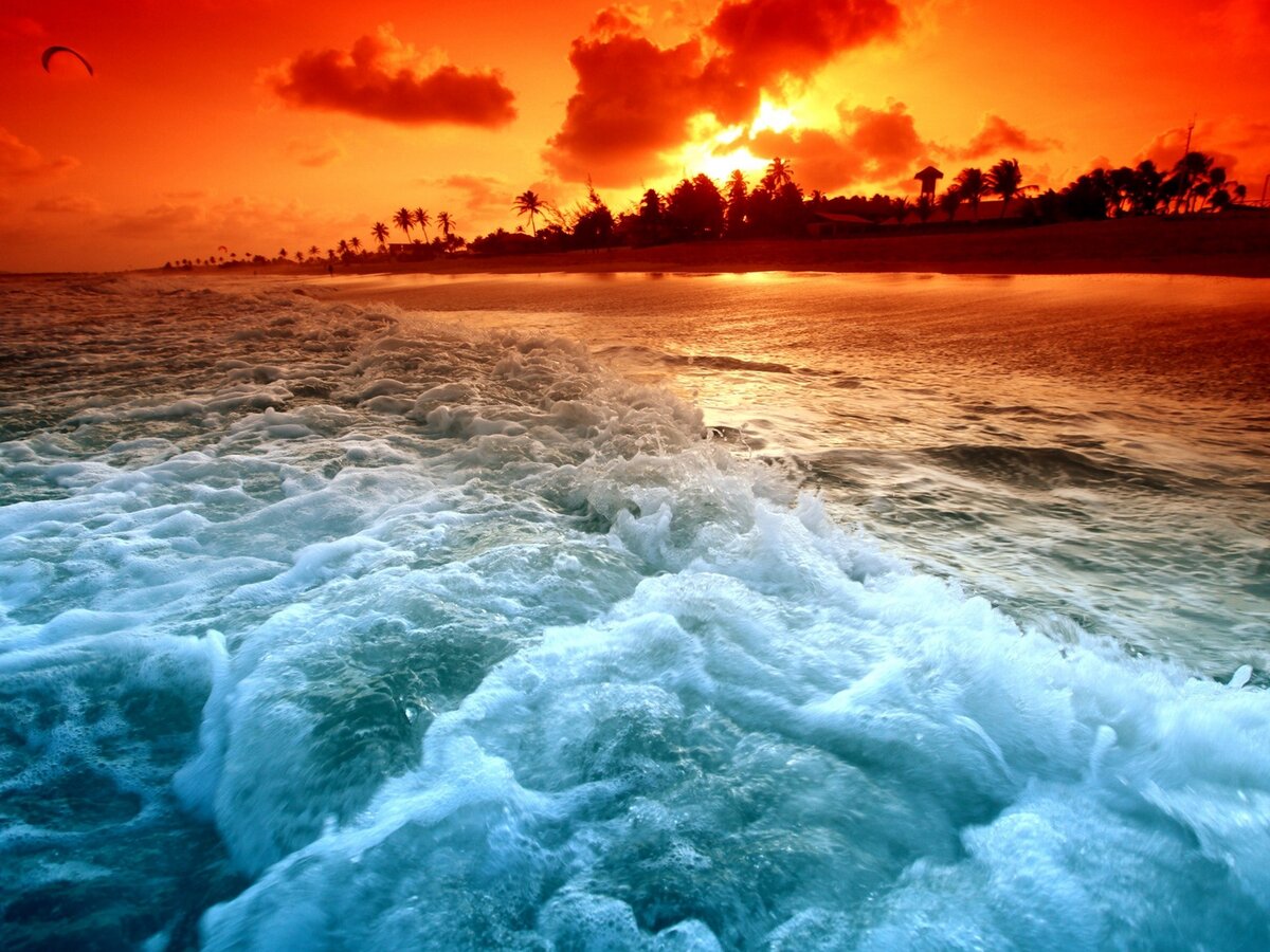 Фото с открытых источников Интернета