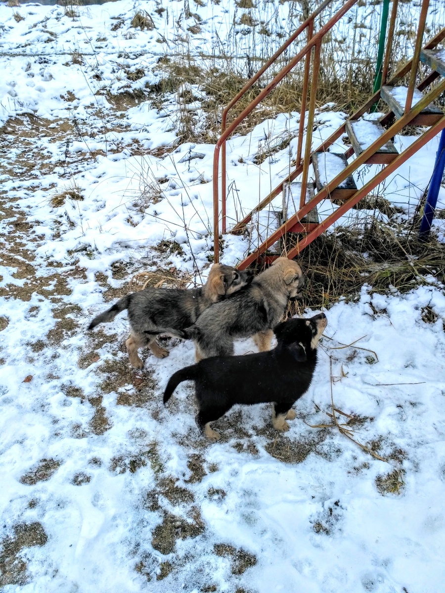 Ну почти что дети наши