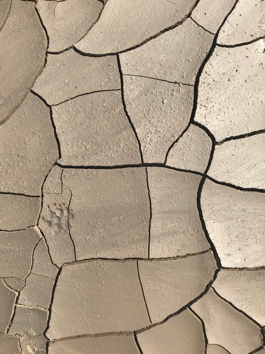 Photo by Alexej Алексей Simonenko Симоненко on Unsplash 