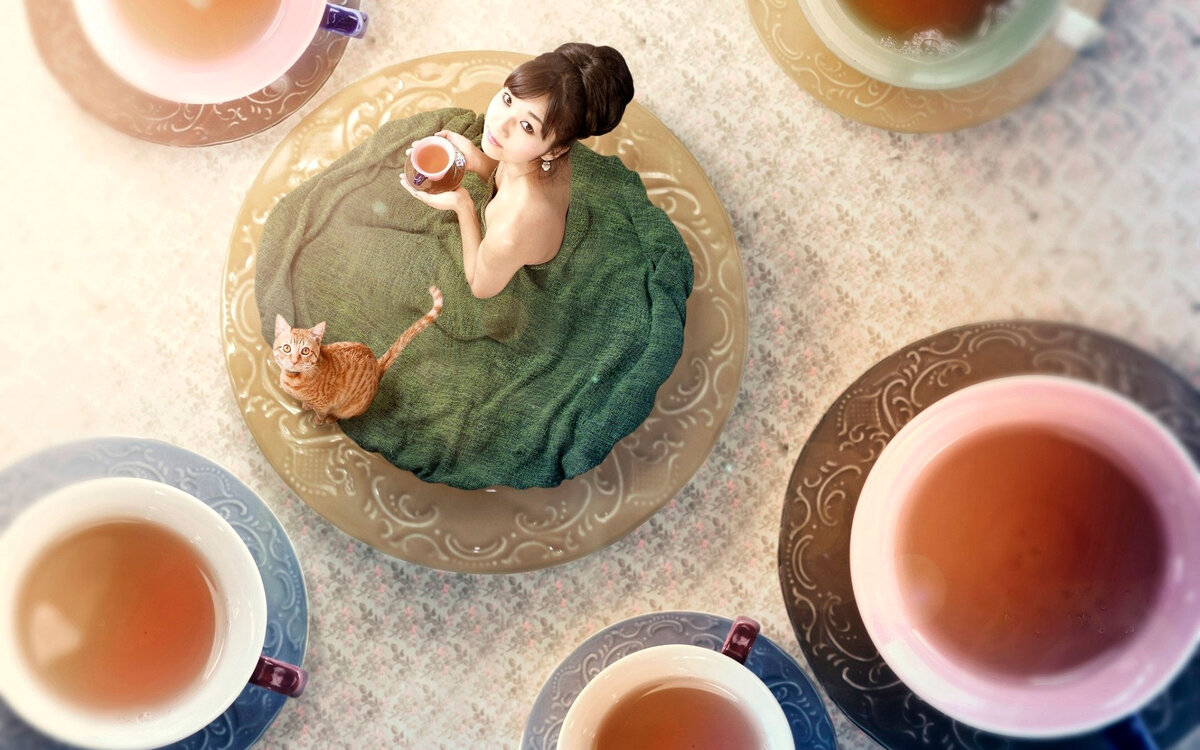 Чай - кофе - потанцуем? Кошка, похоже, что та, но - другая )