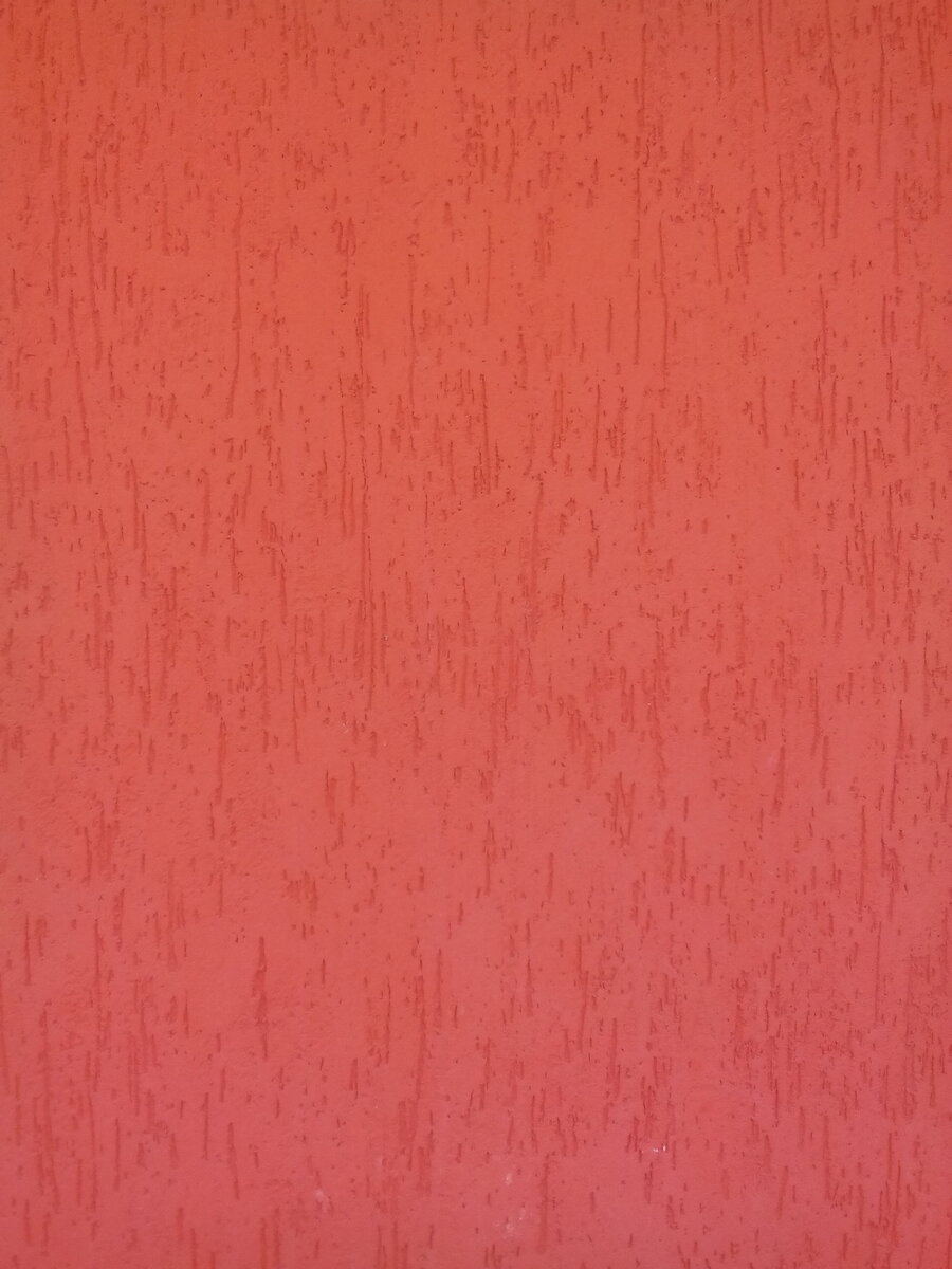 Фото автора. Короед, рисунок "Дождик".