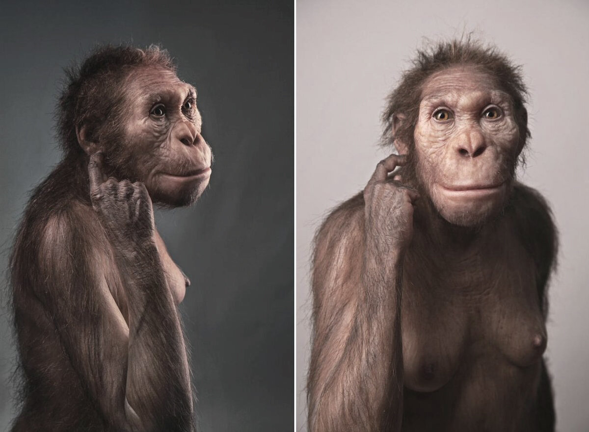 Человек умелый (homo habilis) - самый первый человек на Земле: описание и фото