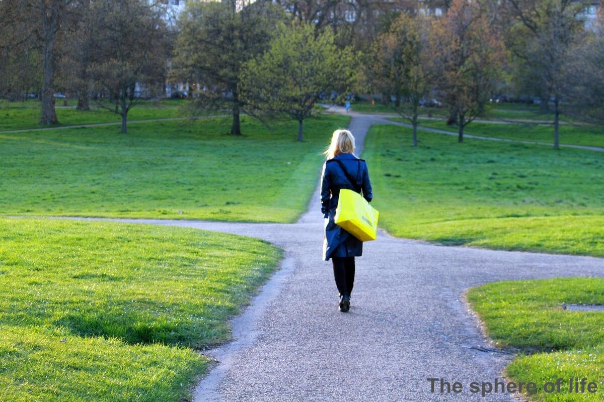 Image by Pixource  from Pixabay 