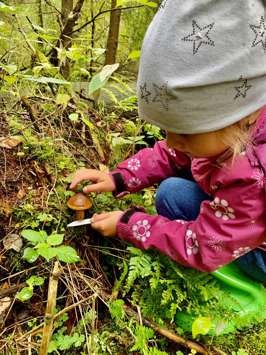 Польский белый. Личное фото автора