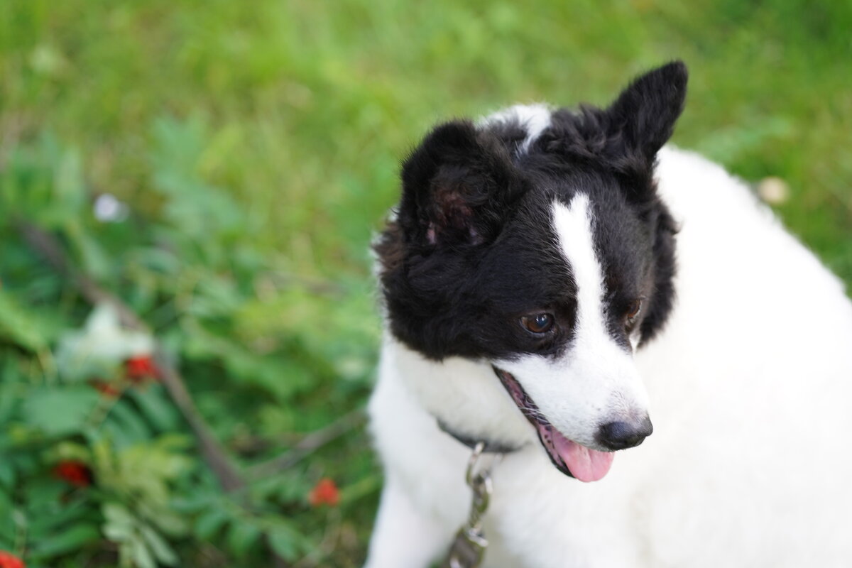 Личное фото от 08.08.2019 г. 