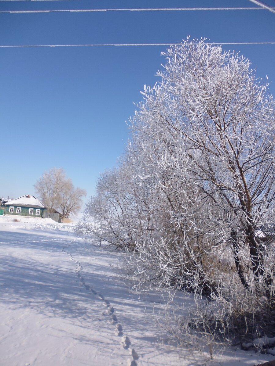  Доброго здравия, читатель!