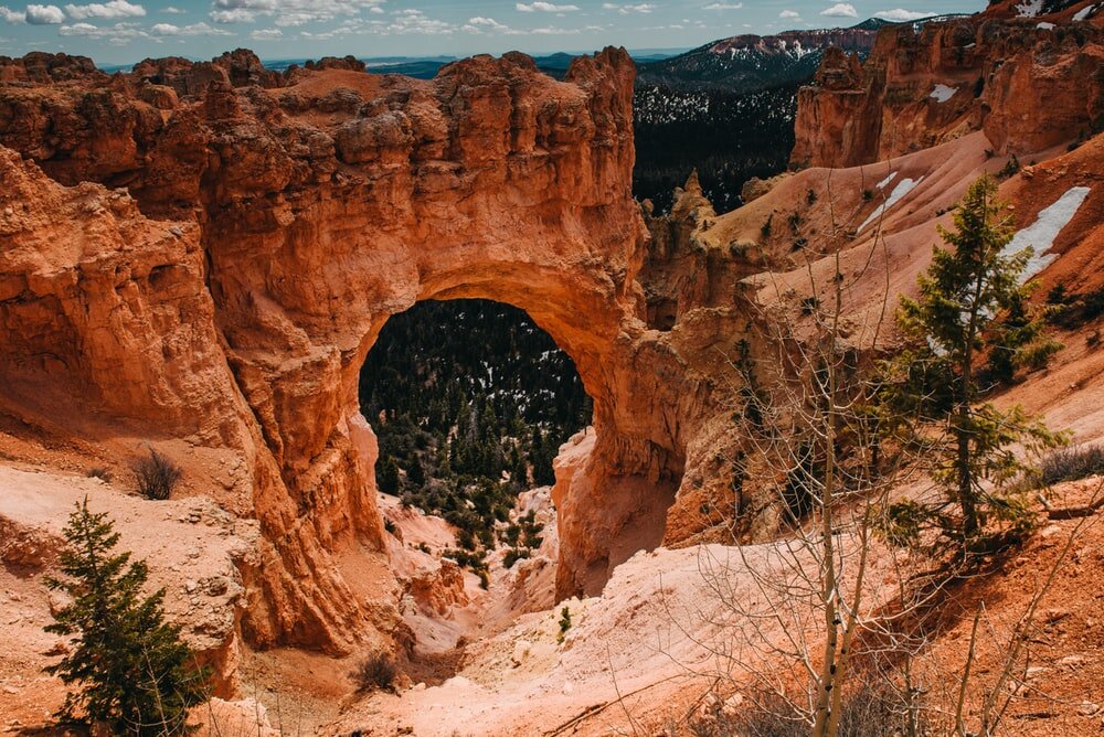 https://images.unsplash.com/photo-1493102407231-c2ac9af3f4fd?ixlib=rb-1.2.1&ixid=eyJhcHBfaWQiOjEyMDd9&auto=format&fit=crop&w=1000&q=80