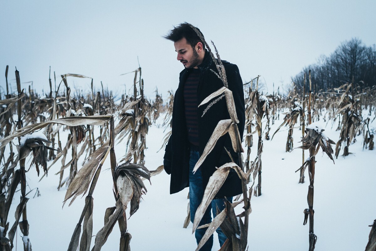 Photo by Alexander Mils