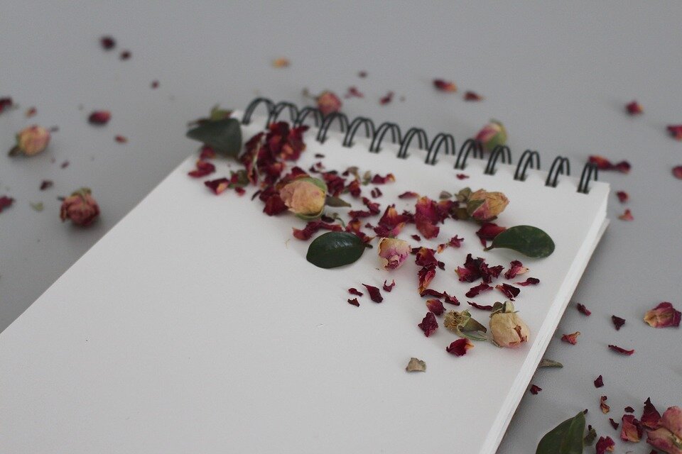 Photo: https://cdn.pixabay.com/photo/2018/04/07/07/25/flower-3297893_960_720.jpg