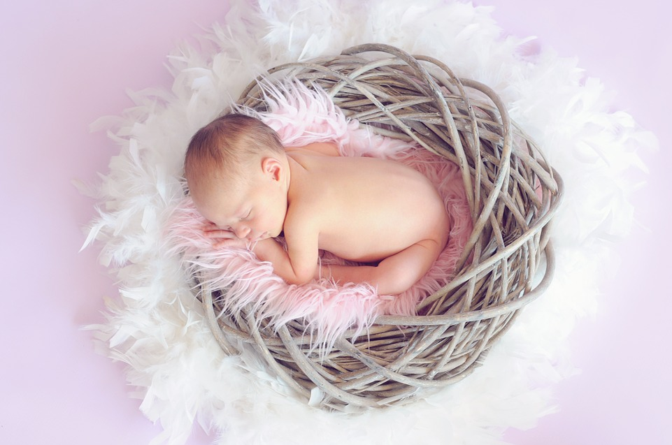 https://pixabay.com/ru/photos/%D1%80%D0%B5%D0%B1%D0%B5%D0%BD%D0%BA%D0%B0-%D1%81%D0%BF%D0%B8%D1%82-%D1%80%D0%B5%D0%B1%D0%B5%D0%BD%D0%BE%D0%BA-%D0%B4%D0%B5%D0%B2%D0%BE%D1%87%D0%BA%D0%B0-784608/