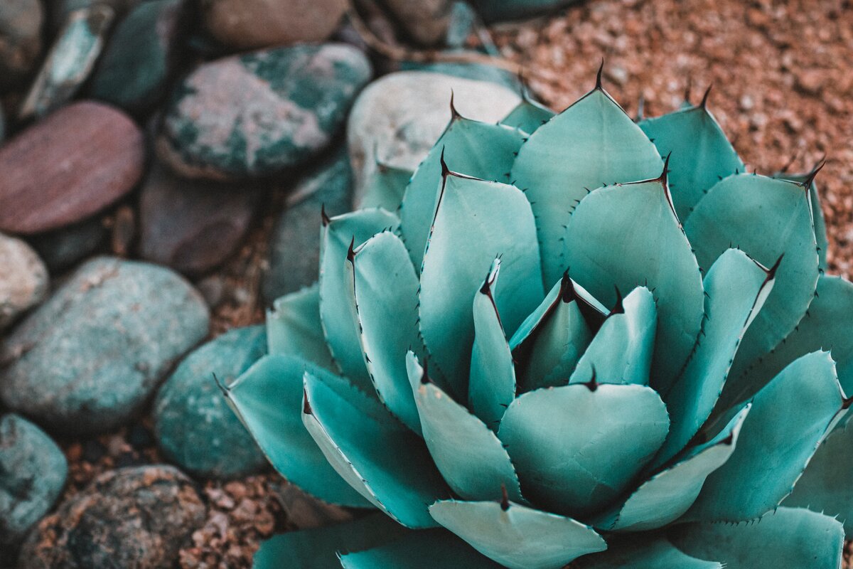 Источник https://unsplash.com/photos/7N-cJvr0CYQ