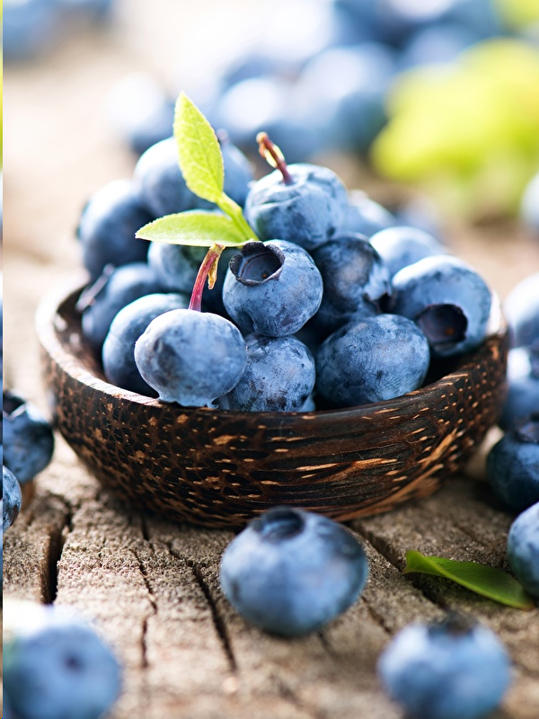 Источник: https://s1.1zoom.ru/b5653/412/Blueberries_Closeup_Berry_518072_600x800.jpg