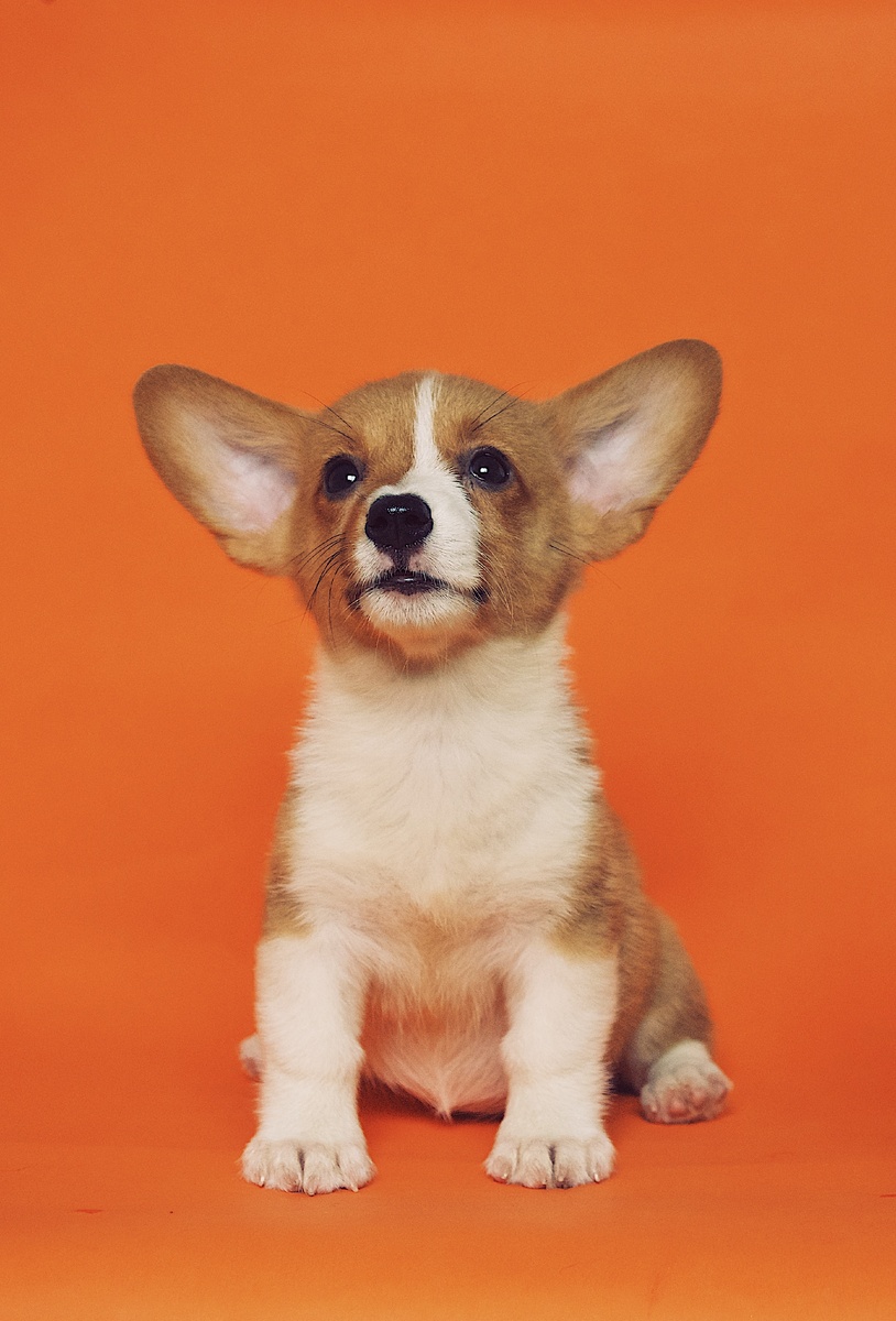https://unsplash.com/photos/eoqnr8ikwFE