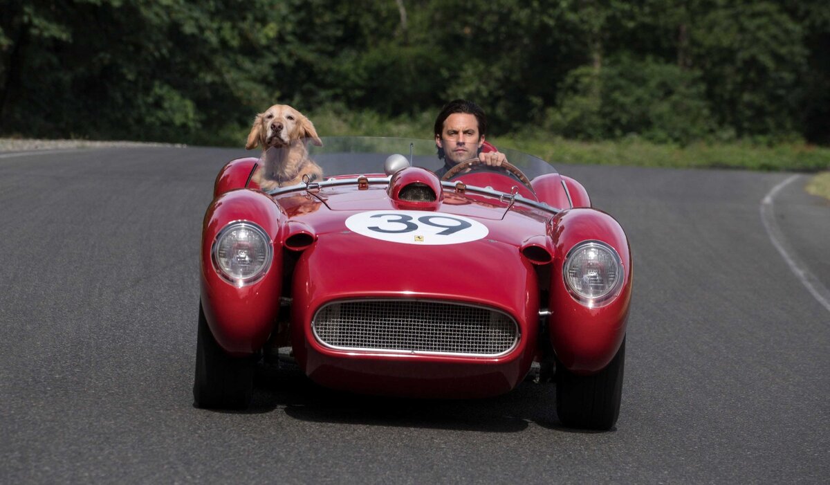 Фильм "Невероятный мир глазами Энцо"